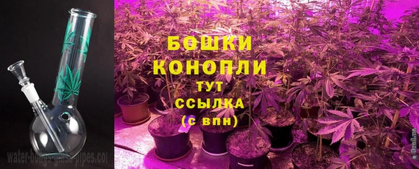 PSILOCYBIN Карпинск