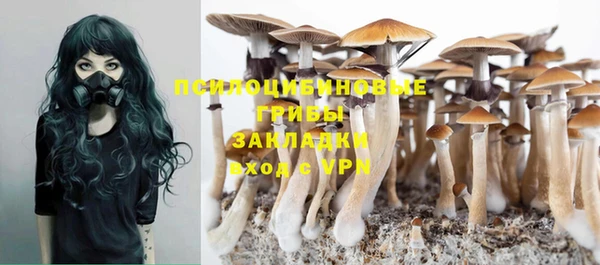 PSILOCYBIN Карпинск