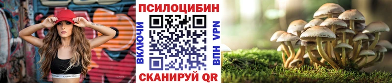 Псилоцибиновые грибы мицелий  Купить закладки  Медынь 